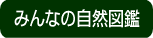 wtxݎqLv2007EwtxݎqLv2007EqǂXvOLv2007EqǂXL[cA[2007