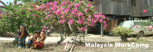 : Z:\BrainHumanity\eƕ\homepage\BrainHumanity-HomePage\yotei\malaysia12summer\6.jpg